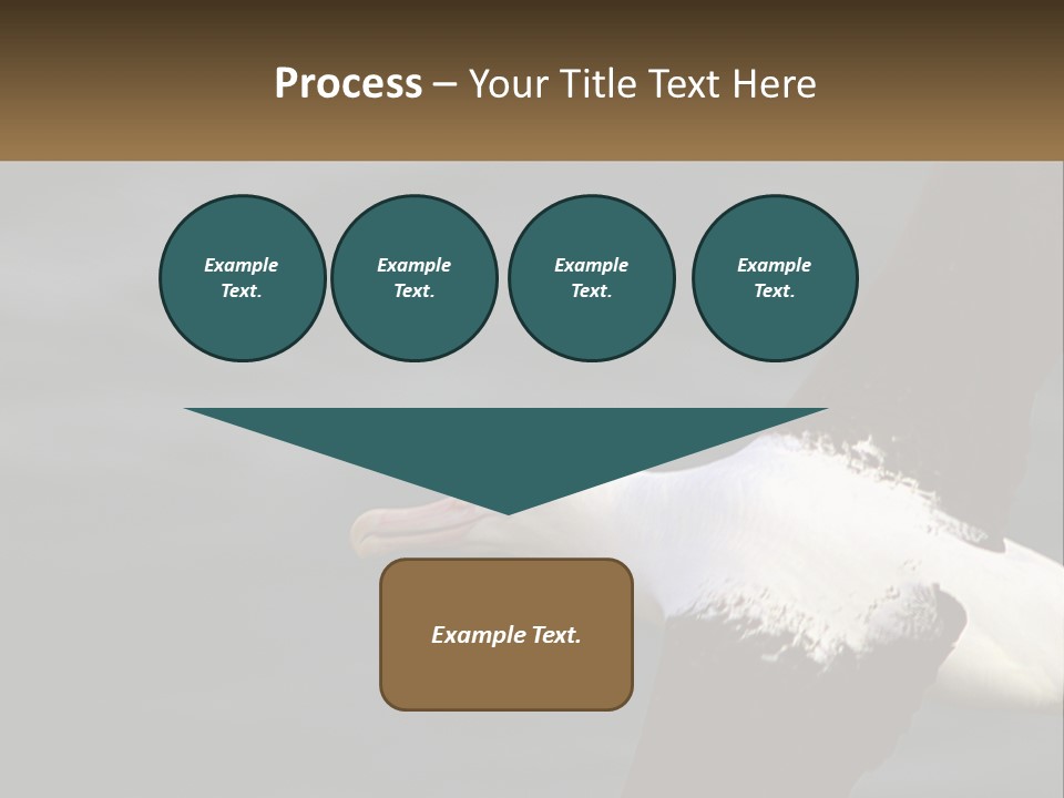 Technology House Switch PowerPoint Template