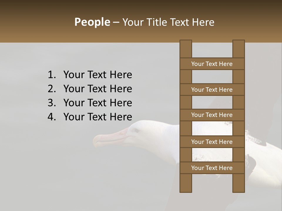 Technology House Switch PowerPoint Template