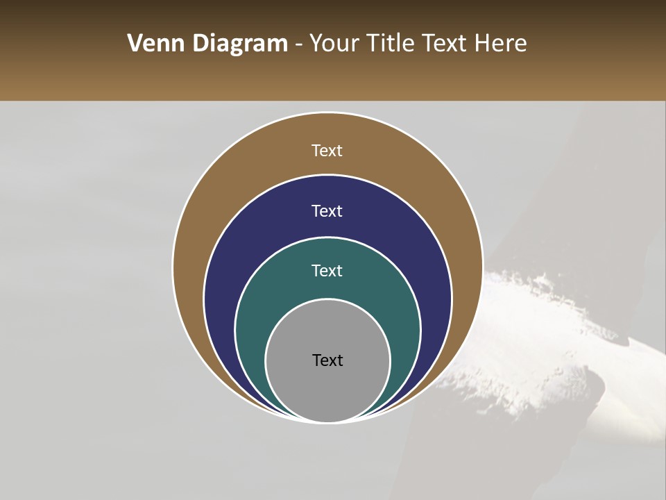 Technology House Switch PowerPoint Template