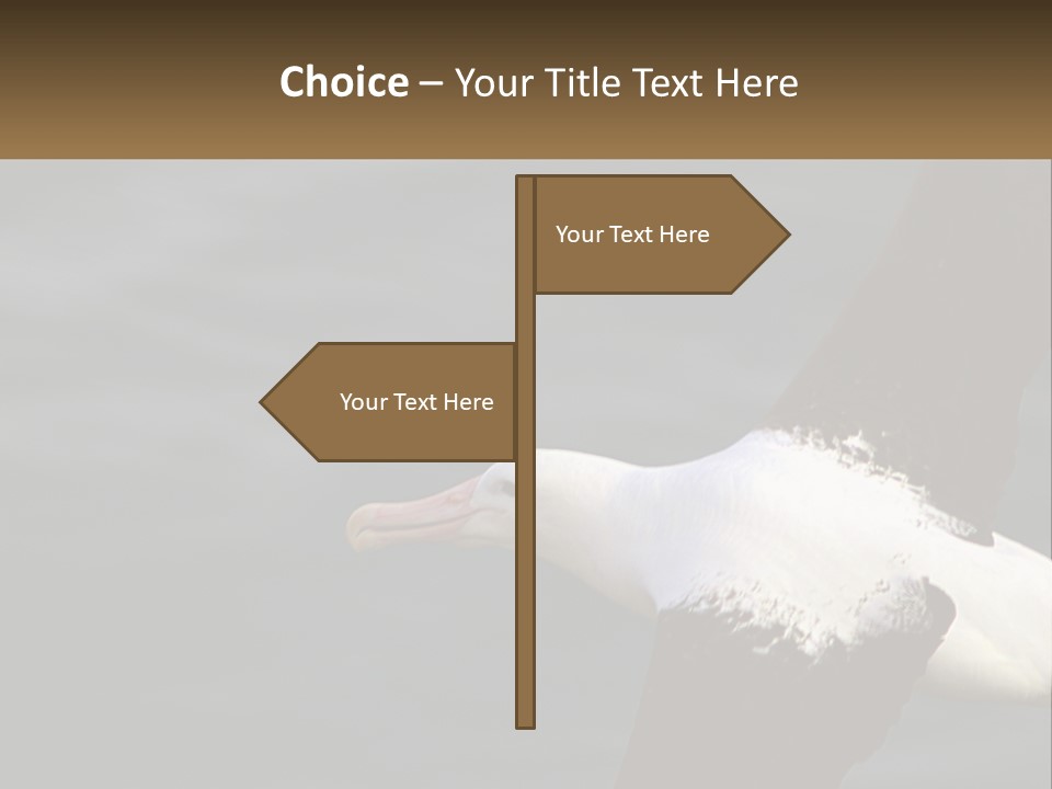 Technology House Switch PowerPoint Template