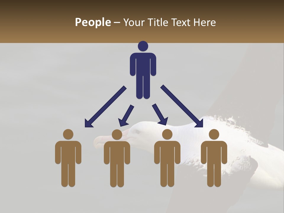 Technology House Switch PowerPoint Template