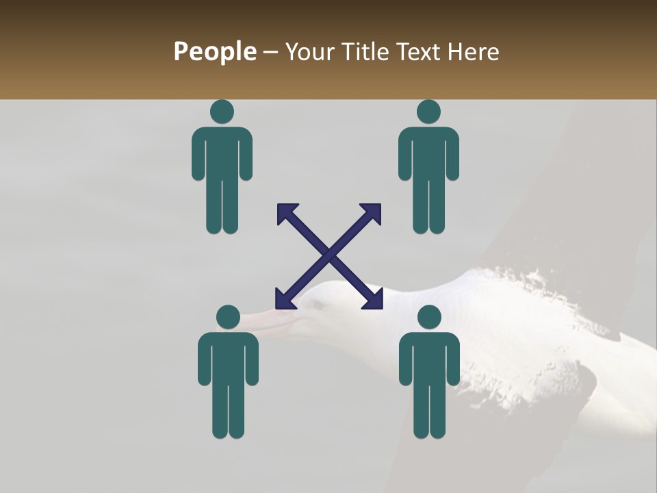 Technology House Switch PowerPoint Template