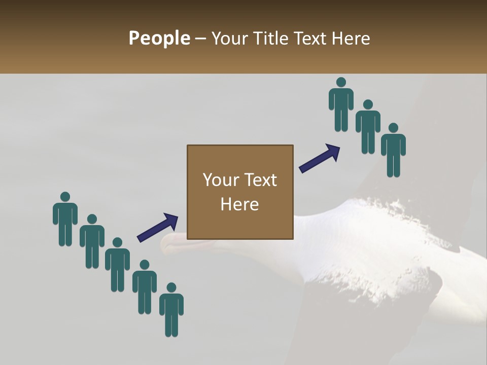 Technology House Switch PowerPoint Template