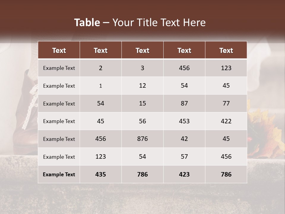 House Conditioner Equipment PowerPoint Template