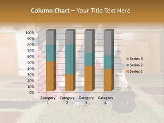 House Unit Supply PowerPoint Template