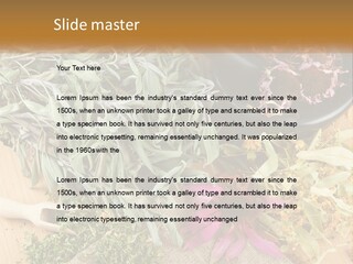 Condition Climate Unit PowerPoint Template