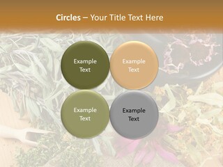Condition Climate Unit PowerPoint Template