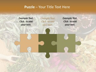 Condition Climate Unit PowerPoint Template