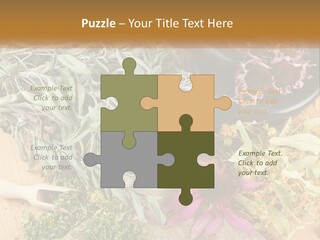 Condition Climate Unit PowerPoint Template