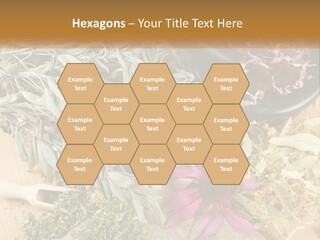 Condition Climate Unit PowerPoint Template