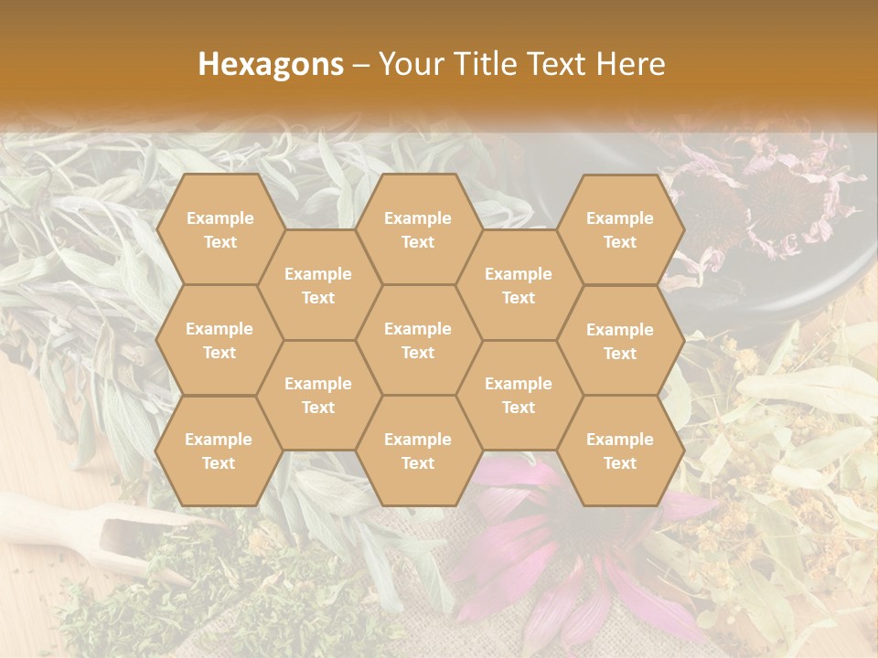 Condition Climate Unit PowerPoint Template