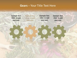Condition Climate Unit PowerPoint Template