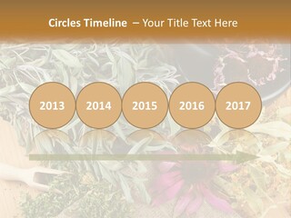 Condition Climate Unit PowerPoint Template