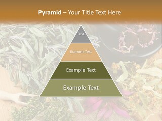 Condition Climate Unit PowerPoint Template
