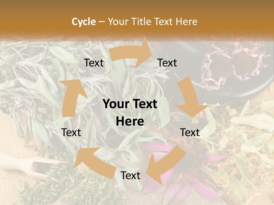 Condition Climate Unit PowerPoint Template