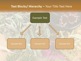 Condition Climate Unit PowerPoint Template