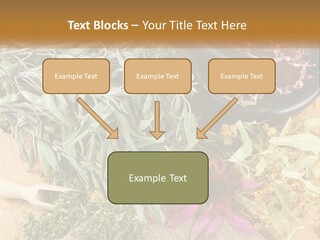 Condition Climate Unit PowerPoint Template