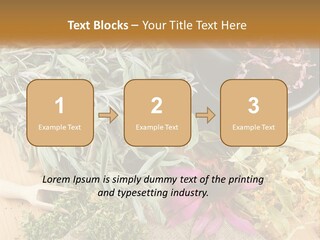 Condition Climate Unit PowerPoint Template
