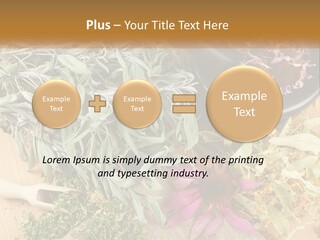 Condition Climate Unit PowerPoint Template