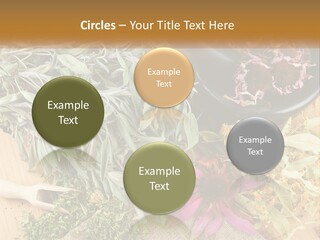 Condition Climate Unit PowerPoint Template