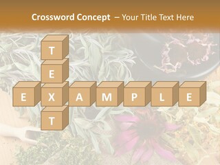 Condition Climate Unit PowerPoint Template