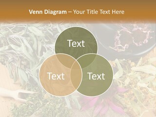 Condition Climate Unit PowerPoint Template