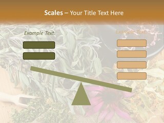 Condition Climate Unit PowerPoint Template