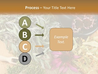 Condition Climate Unit PowerPoint Template