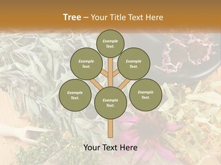 Condition Climate Unit PowerPoint Template