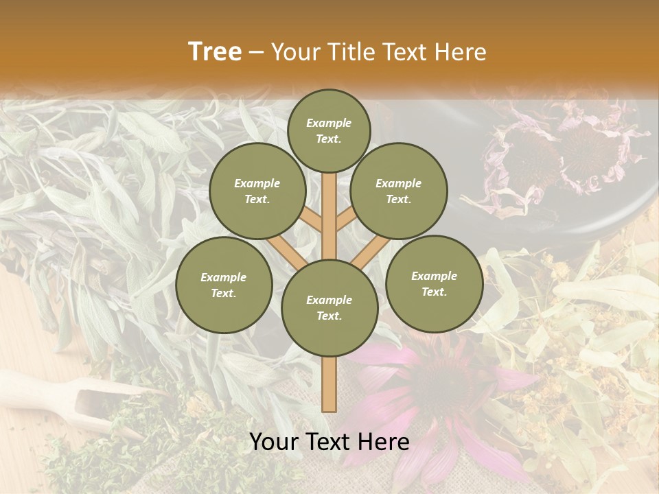 Condition Climate Unit PowerPoint Template