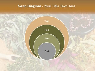 Condition Climate Unit PowerPoint Template