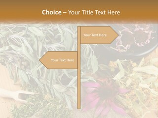 Condition Climate Unit PowerPoint Template
