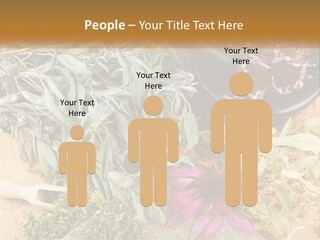 Condition Climate Unit PowerPoint Template