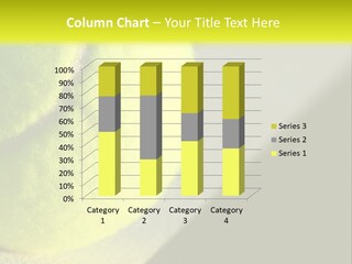 Condition Electric Cooling PowerPoint Template