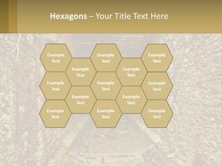 Condition Cooling Conditioner PowerPoint Template