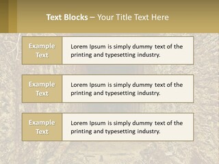 Condition Cooling Conditioner PowerPoint Template
