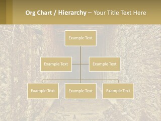 Condition Cooling Conditioner PowerPoint Template