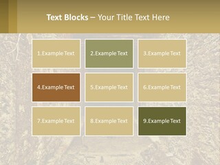 Condition Cooling Conditioner PowerPoint Template