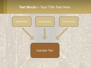Condition Cooling Conditioner PowerPoint Template