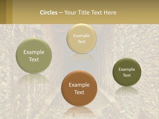 Condition Cooling Conditioner PowerPoint Template