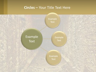Condition Cooling Conditioner PowerPoint Template