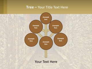Condition Cooling Conditioner PowerPoint Template