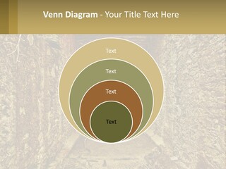 Condition Cooling Conditioner PowerPoint Template