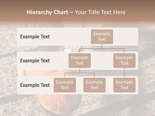 Energy Part Home PowerPoint Template
