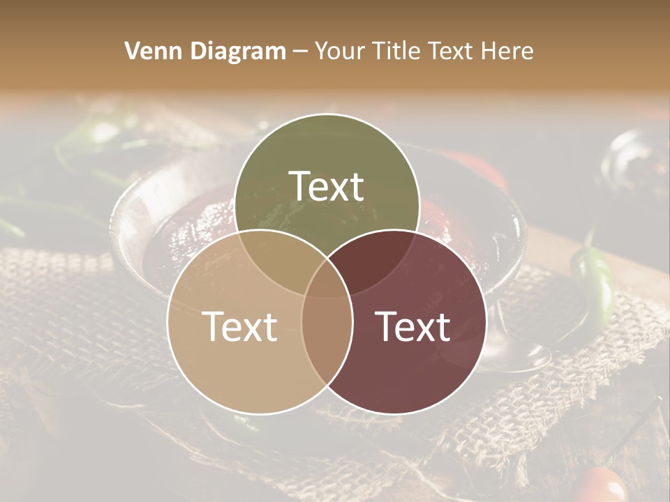 Supply Electric Conditioner PowerPoint Template