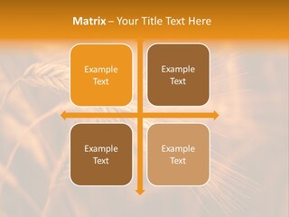 Cold Cool Industry PowerPoint Template