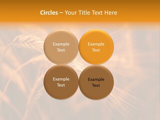 Cold Cool Industry PowerPoint Template