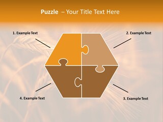 Cold Cool Industry PowerPoint Template