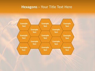 Cold Cool Industry PowerPoint Template