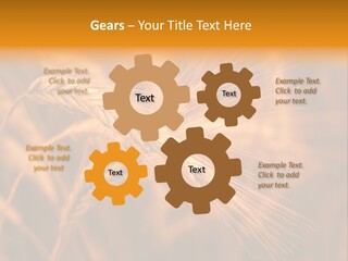 Cold Cool Industry PowerPoint Template